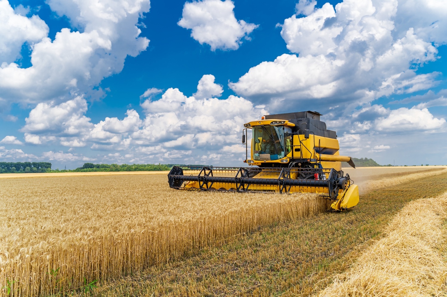 Harvester Compressed